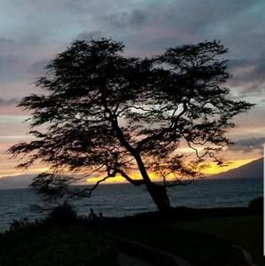 Meet your Posher, Cigi